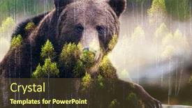 Presentation with brown bear - Colorful PPT theme enhanced with double-exposure-of-brown-bear backdrop and a tawny brown colored foreground