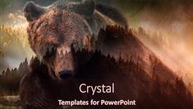  Presentation with brown bear - Slide deck enhanced with double-exposure-of-brown-bear background and a wine colored foreground