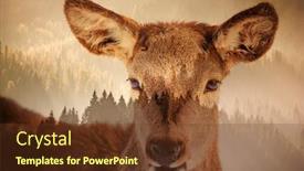  Presentation with global warming - Presentation design with flat earth - double exposure of deer background and a tawny brown colored foreground