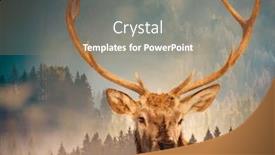  Presentation with global warming - Colorful presentation theme enhanced with double exposure of deer and pine forest - save our planet - fight global warming backdrop and a gray colored foreground