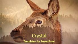  Presentation with global warming - Beautiful presentation design featuring double exposure of deer and pine forest - save our planet - fight global warming backdrop and a tawny brown colored foreground