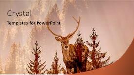  Presentation with deer - Cool new PPT layouts with double-exposure-of-deer backdrop and a coral colored foreground