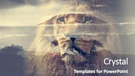  Presentation with lion king - Slide set consisting of double exposure of lion background and a dark gray colored foreground