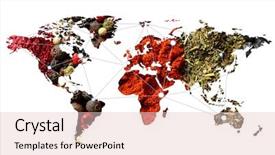  Presentation with wholesale - Colorful theme enhanced with global distribution - double exposure of world map backdrop and a lemonade colored foreground