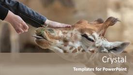  Presentation with zoo - 