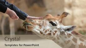  Presentation with zoo - 