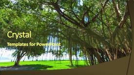  Presentation with australia - Beautiful PPT theme featuring douglas australia - 27 march 2016 backdrop and a tawny brown colored foreground