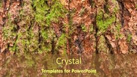  Presentation with texture - Presentation theme having douglas-fir-bark-texture-background background and a tawny brown colored foreground