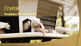  Presentation with dove - Presentation theme consisting of dove house background and a coral colored foreground