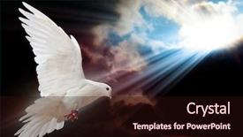  Presentation with dove - Audience pleasing slide set consisting of dove in the air with wings wide open in-front of the sun backdrop and a wine colored foreground