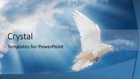  Presentation with white dove - Presentation with dove in the air background and a light blue colored foreground