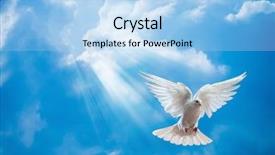  Presentation with white dove - Cool new presentation theme with dove in the air backdrop and a light blue colored foreground