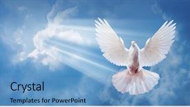  Presentation with dove - Amazing presentation design having dove in the air backdrop and a teal colored foreground