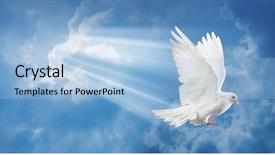  Presentation with white dove - Presentation theme consisting of dove in the air background and a light blue colored foreground