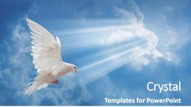  Presentation with white dove - Presentation theme enhanced with dove in the air background and a teal colored foreground