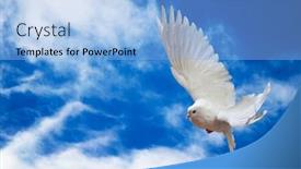  Presentation with dove - Presentation having dove-in-the-air background and a light blue colored foreground