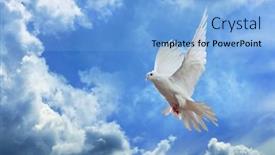  Presentation with dove - Slide set enhanced with dove-in-the-air background and a light blue colored foreground