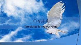  Presentation with dove - PPT theme featuring dove-in-the-air background and a teal colored foreground