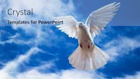  Presentation with dove - Presentation theme featuring dove-in-the-air background and a  colored foreground