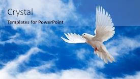  Presentation with dove - PPT theme featuring dove-in-the-air background and a light blue colored foreground