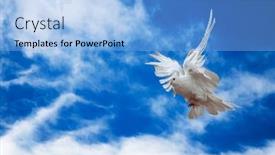  Presentation with dove - Theme with dove-in-the-air background and a light blue colored foreground