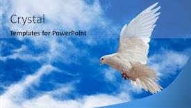  Presentation with dove - PPT layouts having dove-in-the-air background and a  colored foreground