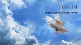 Presentation with dove - PPT theme having dove-in-the-air background and a light blue colored foreground