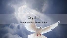  Presentation with wide - Amazing presentation having dove in the air backdrop and a light blue colored foreground