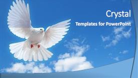  Presentation with white dove - Slide deck featuring dove in the air background and a teal colored foreground