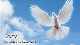  Presentation with white dove - Cool new presentation theme with dove in the air backdrop and a light blue colored foreground