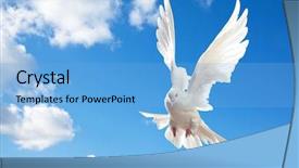  Presentation with white dove - Theme enhanced with dove in the air background and a light blue colored foreground