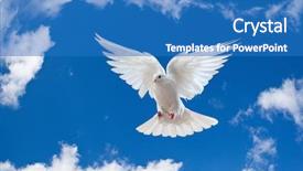  Presentation with white dove - Presentation theme having dove in the air background and a teal colored foreground