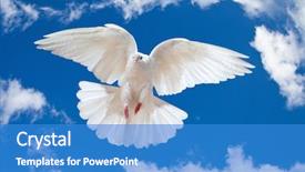  Presentation with white dove - PPT layouts with dove in the air background and a teal colored foreground