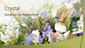  Presentation with paper quilling colorful paper flowers - PPT theme having dove orchids - bouquet of colorful flowers background and a soft green colored foreground