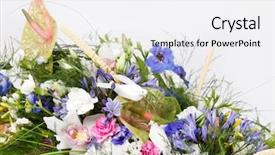  Presentation with dove - Slide set featuring dove orchids - bouquet of colorful flowers background and a white colored foreground