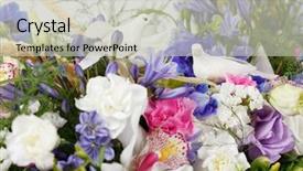  Presentation with flowers - Colorful presentation design enhanced with dove orchids - bouquet of colorful flowers backdrop and a soft green colored foreground