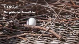  Presentation with dove - PPT layouts with doves - turtle dove egg background and a tawny brown colored foreground