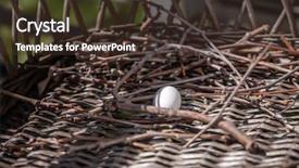  Presentation with dove - Theme having doves - turtle dove egg background and a tawny brown colored foreground