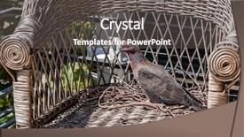  Presentation with dove - PPT theme enhanced with doves - turtle dove in the nest background and a dark gray colored foreground