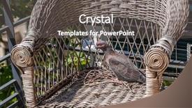  Presentation with dove - PPT layouts having doves - turtle dove in the nest background and a gray colored foreground