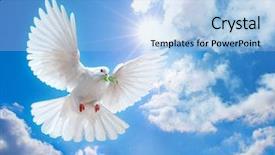  Presentation with dove - Beautiful PPT theme featuring sky pigeon - dove in the air backdrop and a light blue colored foreground