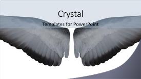  Presentation with white dove - Slides enhanced with dove open inner part of wings isolated on white background background and a light blue colored foreground