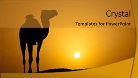  Presentation with sun desert - Colorful PPT layouts enhanced with down in a hot desert backdrop and a gold colored foreground