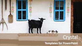  Presentation with what is my life purpose - PPT layouts with downtime - rural life scene goat background and a coral colored foreground