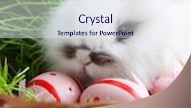  Presentation with easter basket - PPT theme enhanced with downy white rabbit is in the basket with green grass and easter eggs background and a sky blue colored foreground