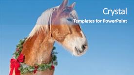  Presentation with plain blue clear sky - Slide deck with draft horse wearing a christmas background and a teal colored foreground