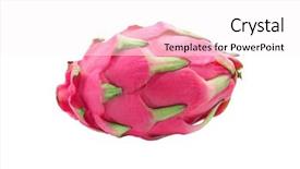  Presentation with dragon fruit - PPT theme with dragon fruit isolated on white background and a pink colored foreground