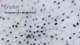  Presentation with dragon fruit - 