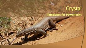  Presentation with dragon - Slide deck consisting of dragon background and a tawny brown colored foreground