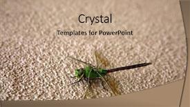  Presentation with dragonfly - Presentation enhanced with dragonflies - green dragonfly scientific name erythemis background and a coral colored foreground
